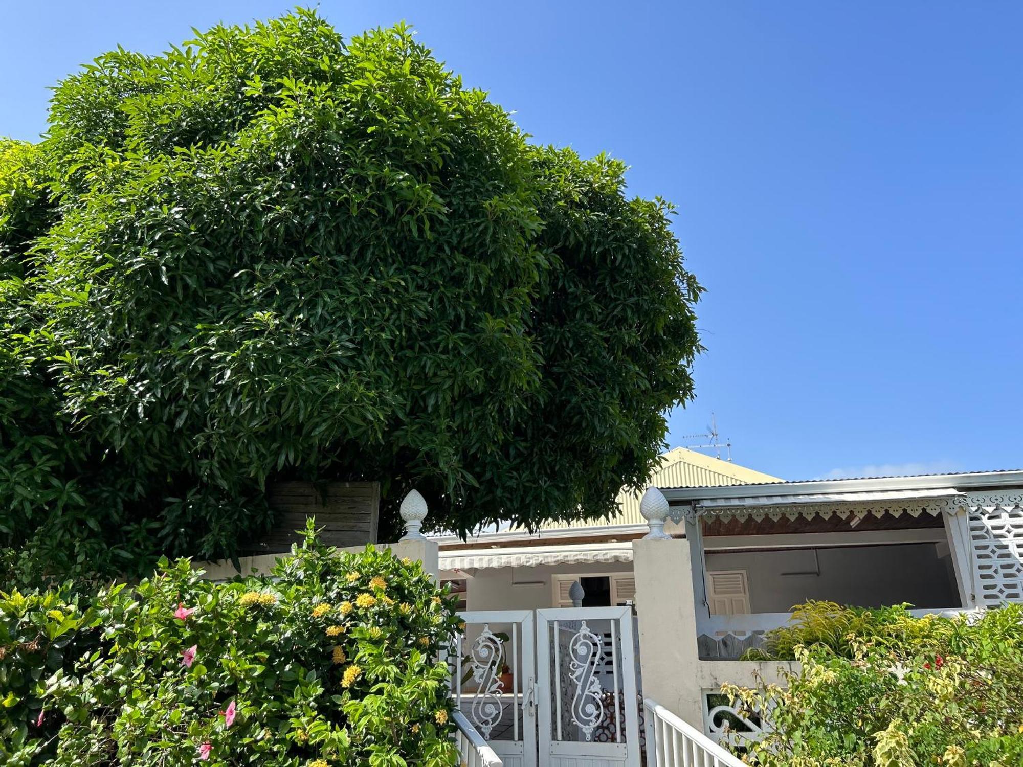 Villa A Louer A Sainte-Anne En Martinique 外观 照片